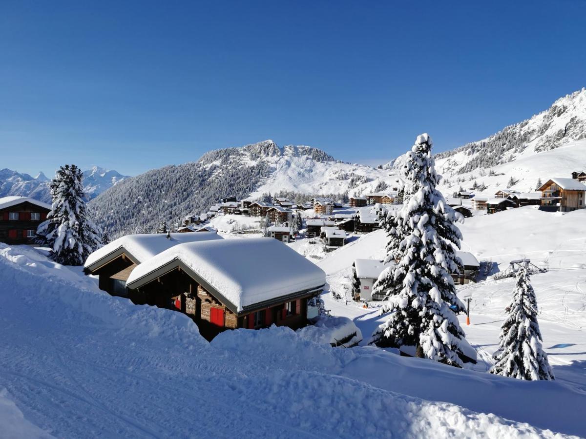 Chalet Enzian Riederalp Extérieur photo