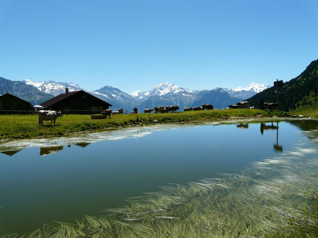 Chalet Enzian Riederalp Extérieur photo