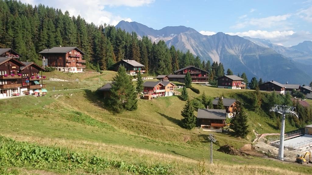Chalet Enzian Riederalp Extérieur photo