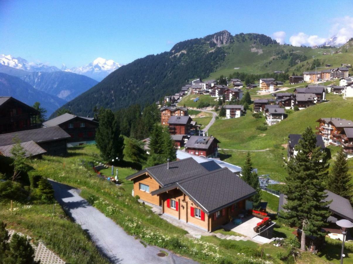Chalet Enzian Riederalp Extérieur photo